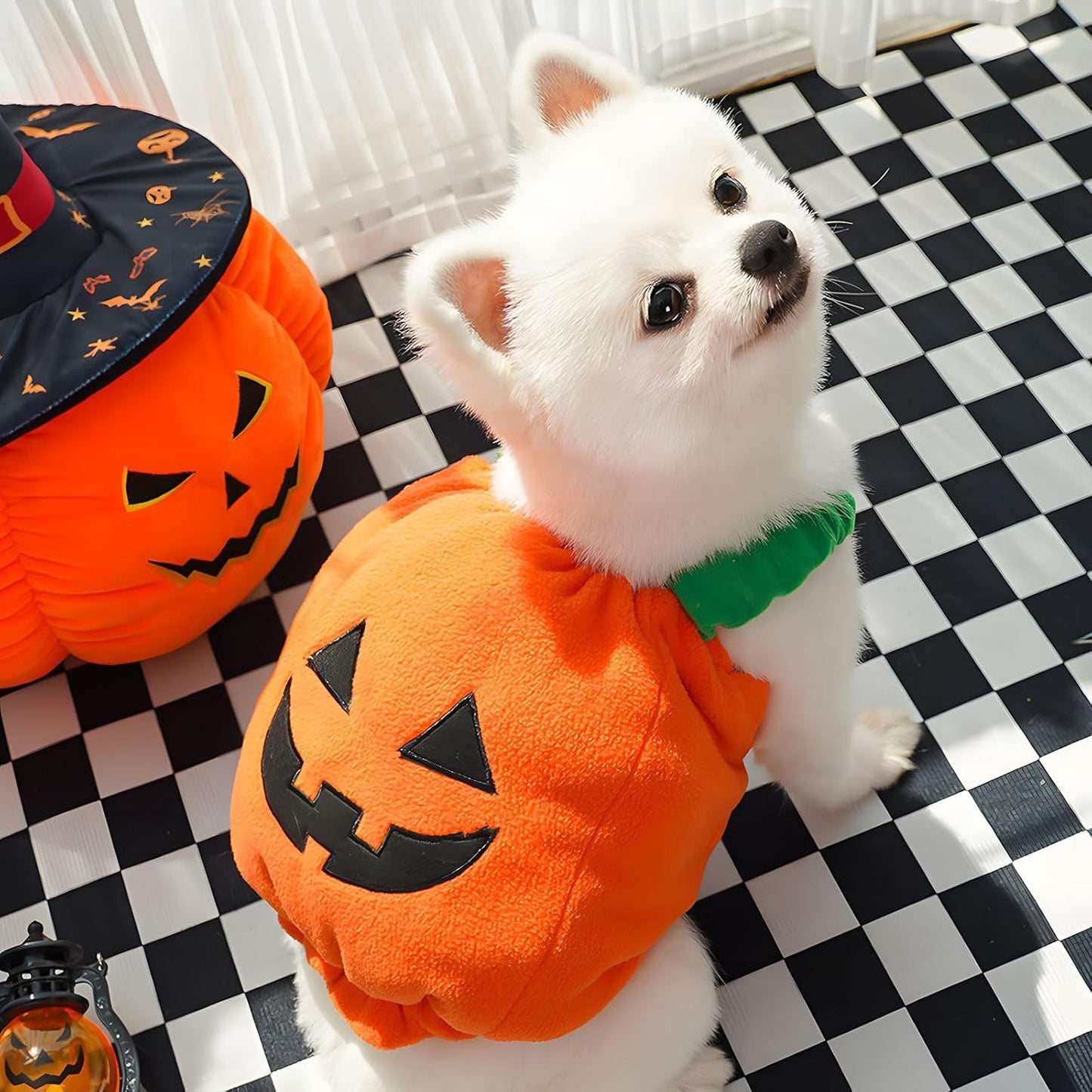 Funny Pumpkin Halloween Costume for Pets/Dogs