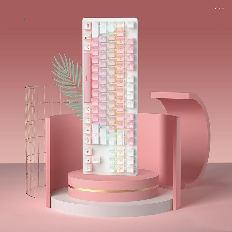 Cute Mechanical Keyboard with Colorful Backlighting in Pink & Blue Color