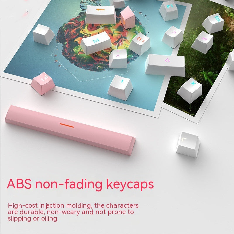 Cute Mechanical Keyboard with Colorful Backlighting in Pink & Blue Color