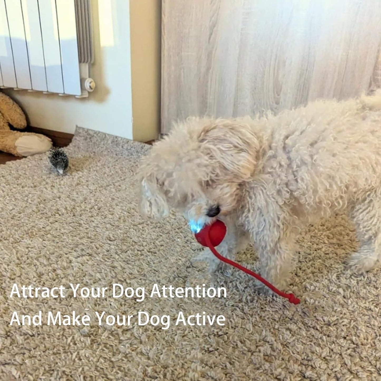 Rolling Ball For Dogs & Pets | Interactive Smart Rolling Pet Ball