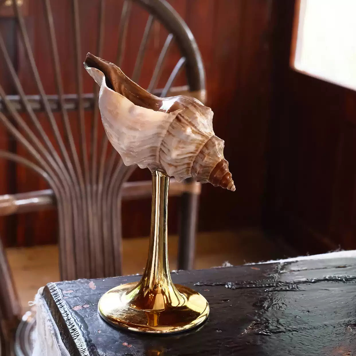Natural Conch Wine Glass