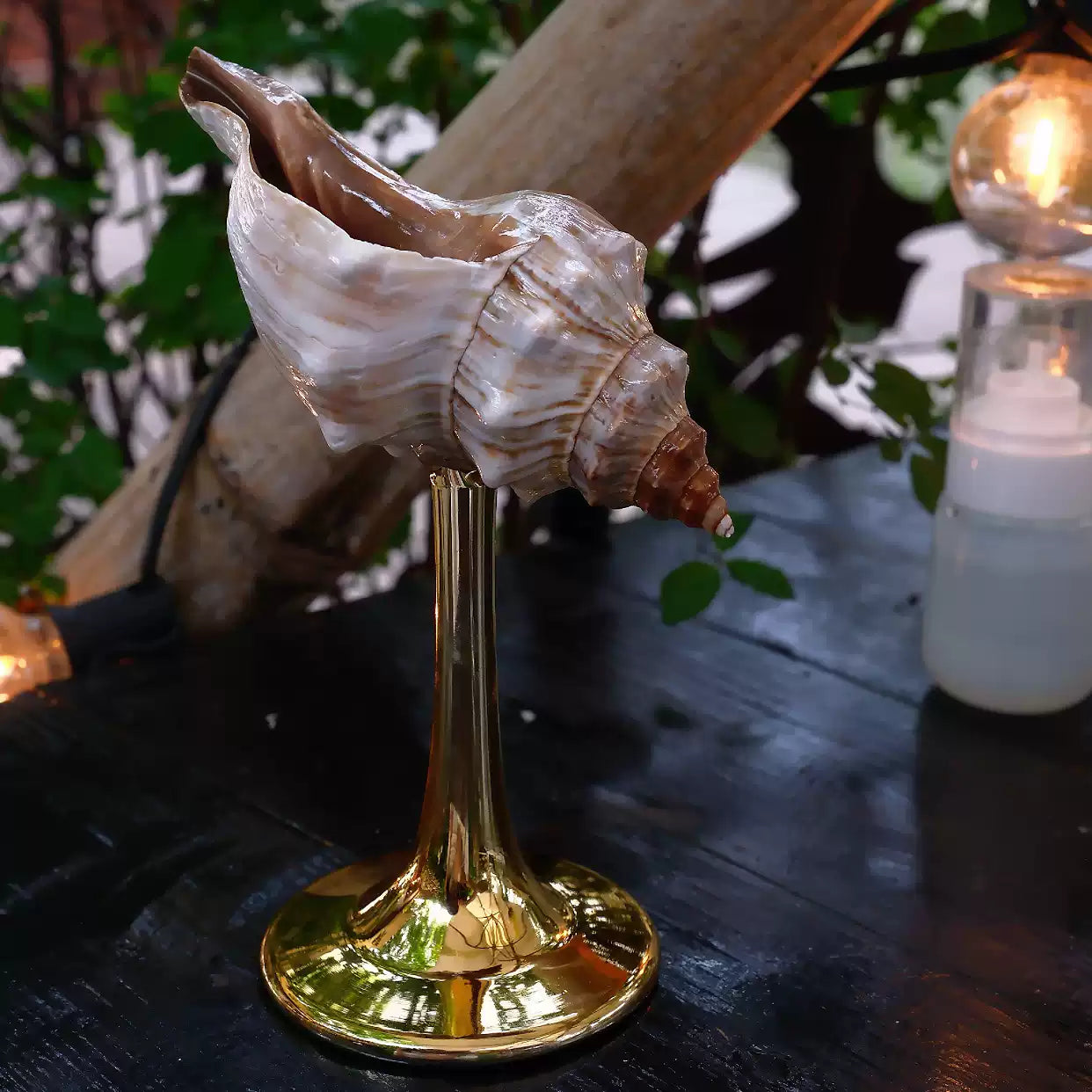 Natural Conch Wine Glass
