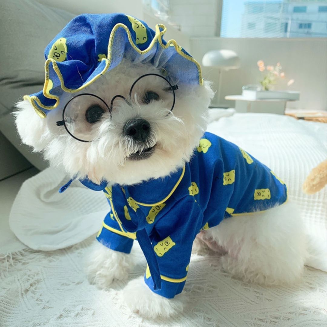 Korean Spring Cute Candy Bear Hat Pajama Set for Pets