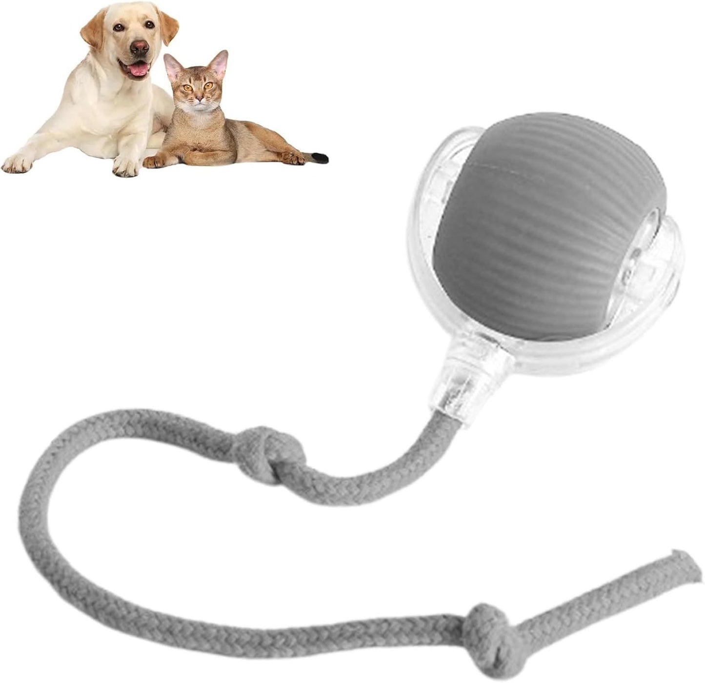 Rolling Ball For Dogs & Pets | Interactive Smart Rolling Pet Ball