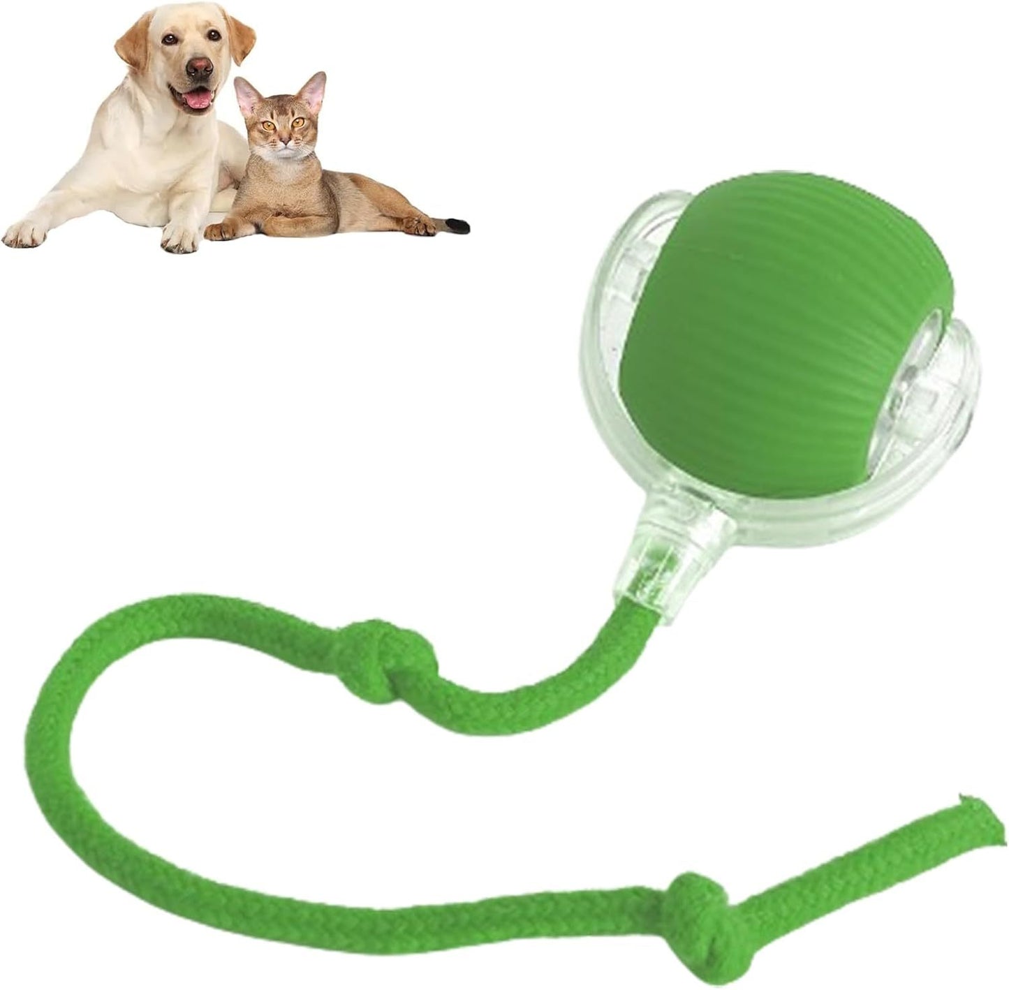 Rolling Ball For Dogs & Pets | Interactive Smart Rolling Pet Ball