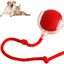 Rolling Ball For Dogs & Pets | Interactive Smart Rolling Pet Ball