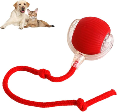 Rolling Ball For Dogs & Pets | Interactive Smart Rolling Pet Ball
