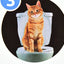 Pet Toilet Trainer with Toilet Seat Lighting