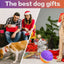 Interactive Dog Toys Ball, Automatic Rolling Toy With LED Flash, USB Rechargeable Orange Purple