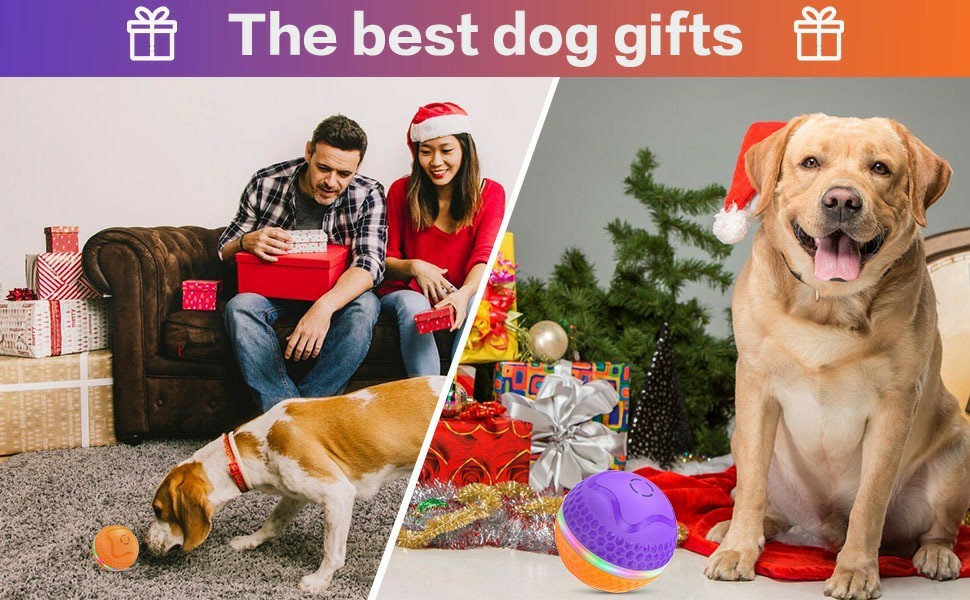 Interactive Dog Toys Ball, Automatic Rolling Toy With LED Flash, USB Rechargeable Orange Purple