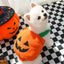 Funny Pumpkin Halloween Costume for Pets/Dogs