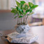 Floating Plant Pot - Magnetic Levitating Plant Pot for Succulents, Air Bonsai and Fake Flowers/Plants, Unique Decor for Home, Office and Desk (Marble)