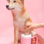 Pet Foot Clean Cup Cleaning Tool | Silicone Washing Brush Paw Washer for Cats/Dogs