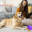 Interactive Dog Toys Ball, Automatic Rolling Toy With LED Flash, USB Rechargeable Orange Purple