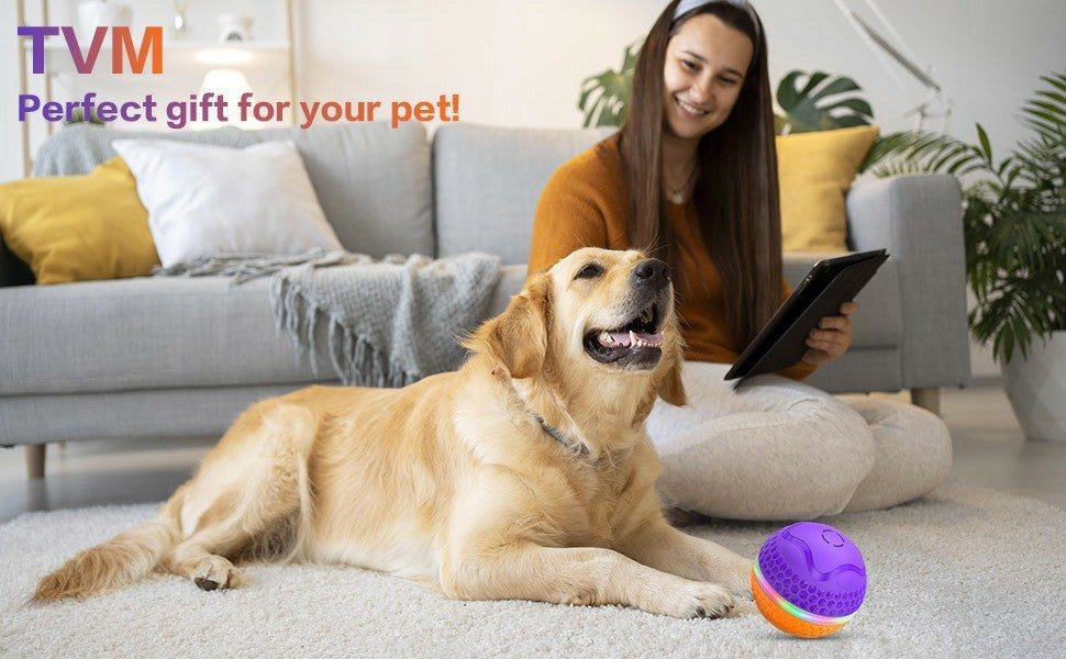 Interactive Dog Toys Ball, Automatic Rolling Toy With LED Flash, USB Rechargeable Orange Purple