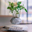 Floating Plant Pot - Magnetic Levitating Plant Pot for Succulents, Air Bonsai and Fake Flowers/Plants, Unique Decor for Home, Office and Desk (Marble)