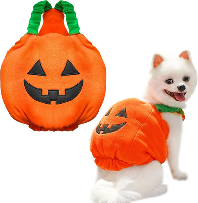 Funny Pumpkin Halloween Costume for Pets/Dogs