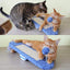 Cat Seesaw