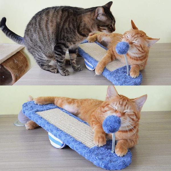 Cat Seesaw