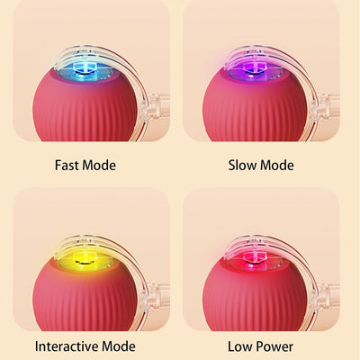 Rolling Ball For Dogs & Pets | Interactive Smart Rolling Pet Ball
