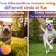 Interactive Dog Toys Ball, Automatic Rolling Toy With LED Flash, USB Rechargeable Orange Purple