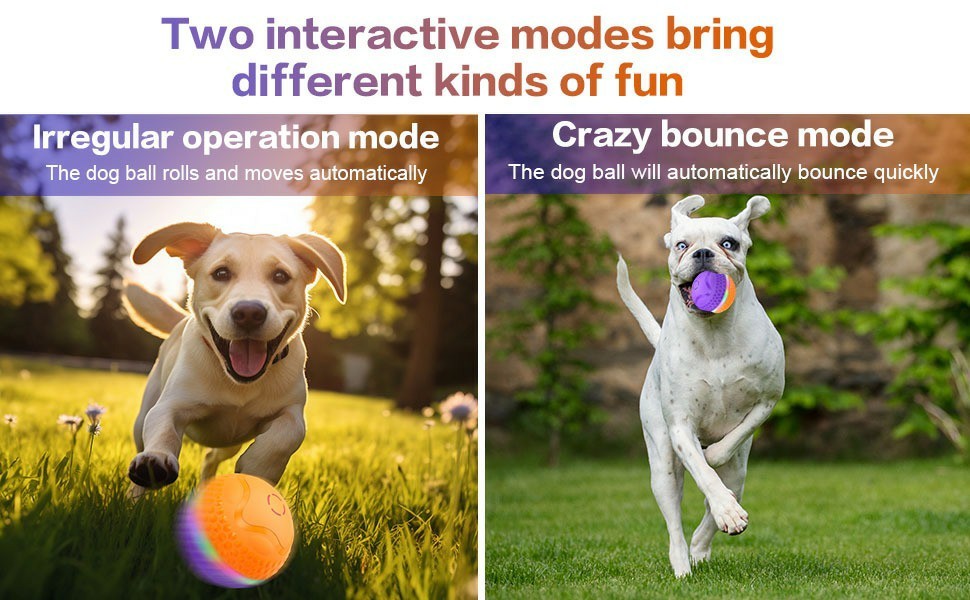 Interactive Dog Toys Ball, Automatic Rolling Toy With LED Flash, USB Rechargeable Orange Purple