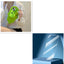 Funny Shark Slipper Phone Case For Iphone 11 12 13 14 Pro Max Creative Soft Silicone Shockproof Protective Full Cover For Apple