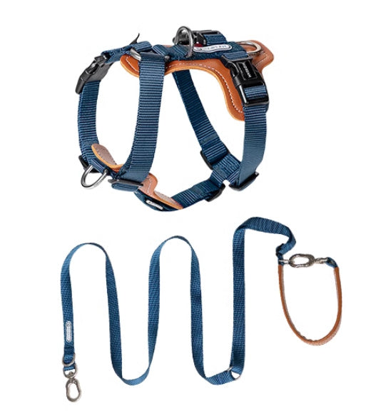 Dog Rope Leash, Multifunctional Explosion-proof, Chest Strap