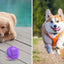 Interactive Dog Toys Ball, Automatic Rolling Toy With LED Flash, USB Rechargeable Orange Purple