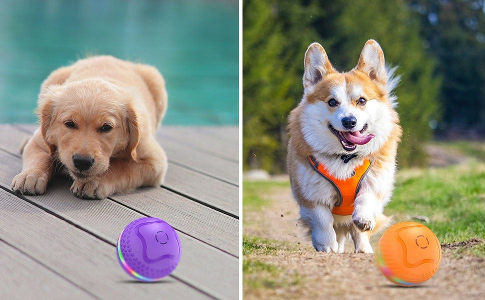 Interactive Dog Toys Ball, Automatic Rolling Toy With LED Flash, USB Rechargeable Orange Purple