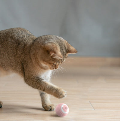Automatic Moving Bouncing Rolling Ball Smart Cat Toy Ball Self-Moving Kitten Toy