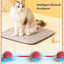 Rolling Ball For Dogs & Pets | Interactive Smart Rolling Pet Ball