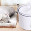 Automatic Pet Water Dispenser & Pet Water Fountain