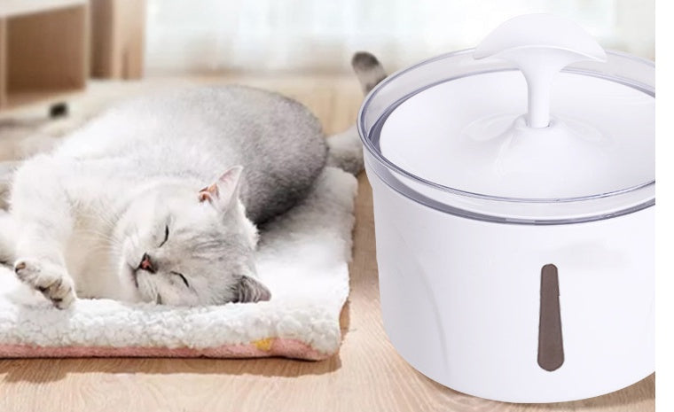 Automatic Pet Water Dispenser & Pet Water Fountain