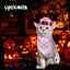 Cat Cowboy Costume Cat Cowboy Hat And Bandana Set Cat Halloween Costumes Cowboy Cat Pet Costume Funny Halloween Costumes For Cats Kittens Pets