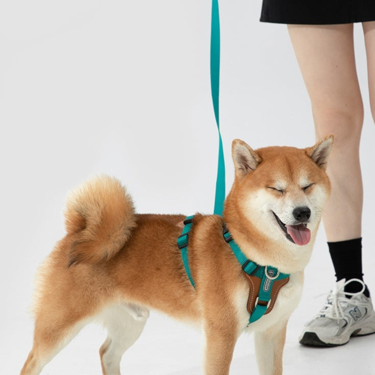 Dog Rope Leash, Multifunctional Explosion-proof, Chest Strap