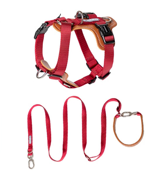 Dog Rope Leash, Multifunctional Explosion-proof, Chest Strap