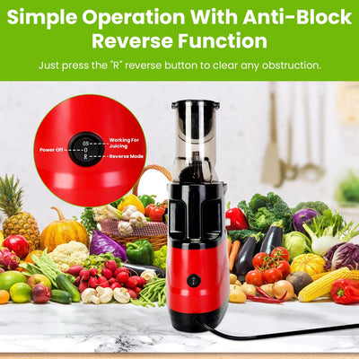 1Pc Cold Press Juicer Machine 300W Electric Slow Masticating Juicer For Whole Vegetable And Fruit With Reverse Function 2 Containers Cleaning Brush Clear Marks Easy Cleaning Fedex Shipping