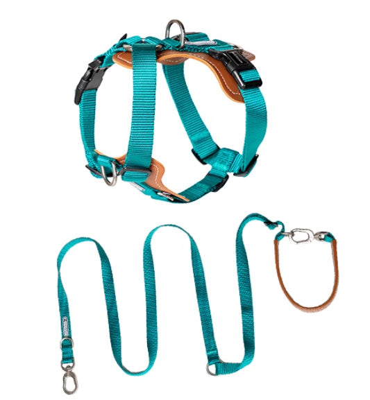 Dog Rope Leash, Multifunctional Explosion-proof, Chest Strap