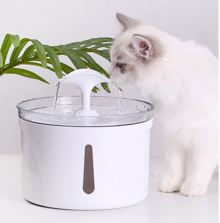 Automatic Pet Water Dispenser & Pet Water Fountain