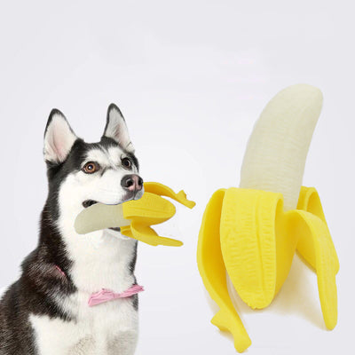 Creative Pet Banana Squeeze Interactive Toy