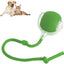 Rolling Ball For Dogs & Pets | Interactive Smart Rolling Pet Ball